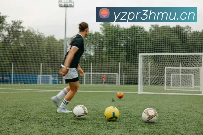 星空体育官网登录平台发展历程