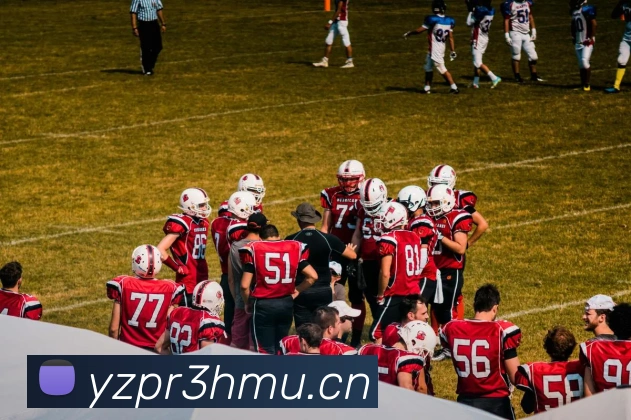 新浪CBA直播解说阵容升级：专业点评带来沉浸式篮球体验